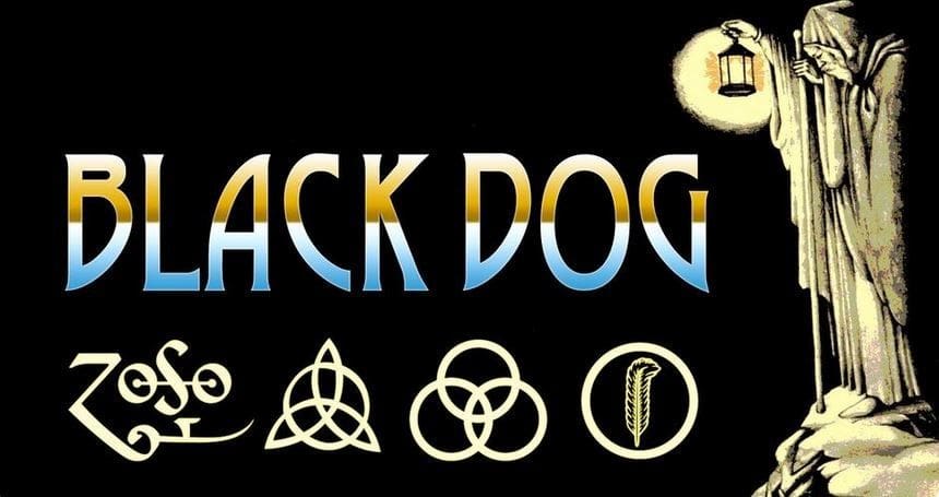 Black Dog Band has a Golden, Blue and White Logo